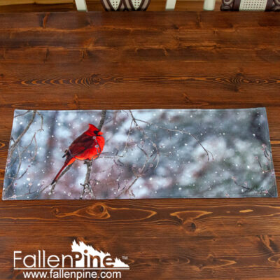 cardinal dogwood winter