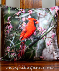 cardinal spring pillow