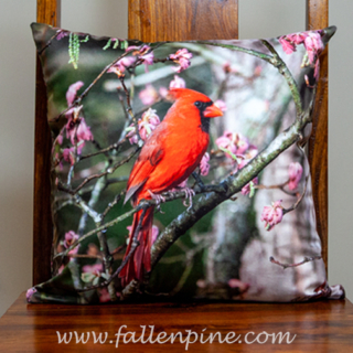 cardinal spring pillow